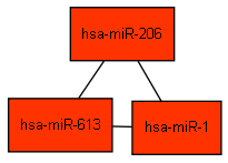 Output example